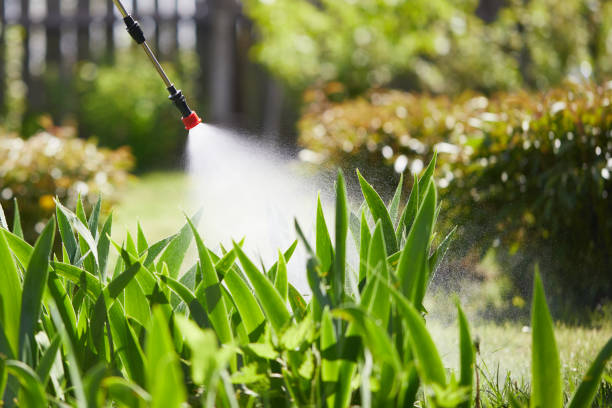 24/7 Emergency Ant Control experts in Pahoa, HI