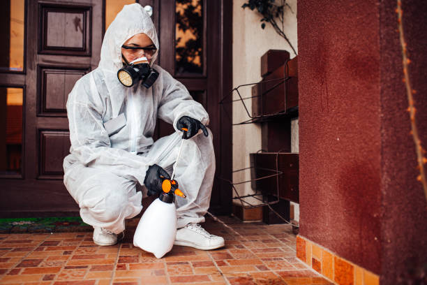 Reliable Ant Control contractor in Pahoa, HI by Show Me Pest Control